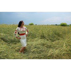 Embroidered dress "FLower Before Storm"