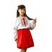 Embroidered dress/blouse/tunic "Charming Youth"