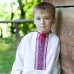 Embroidered shirt for little boy "Mykhas" with long sleeves