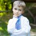 Embroidered shirt for little boy "Dmytryk" long sleeves