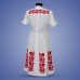 Embroidered dress "Traditional 2"