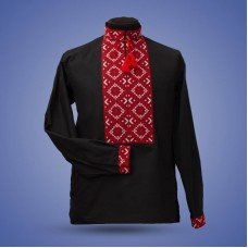 Embroidered shirt "Ukrainian Power 2"