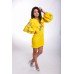 Embroidered Mini Dress "Bohemian Roses" Yellow