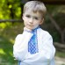 Embroidered shirt for little boy "Dmytryk" long sleeves