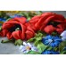 Set of 2 Embroidered Pillow Covers "Prosperity"