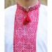 Embroidered shirt "Nyzynka Red"